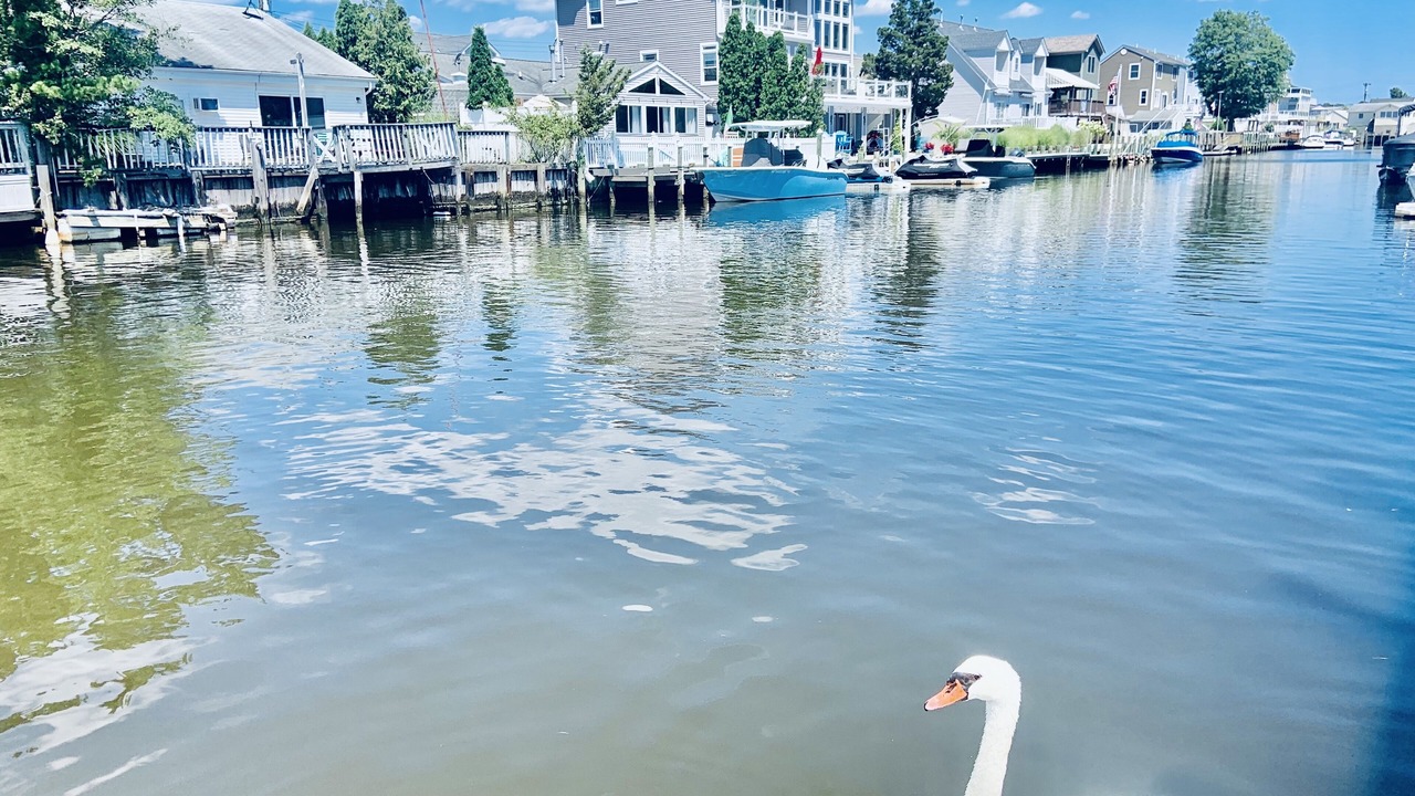 Photo of Outdoor in Beach Haven West