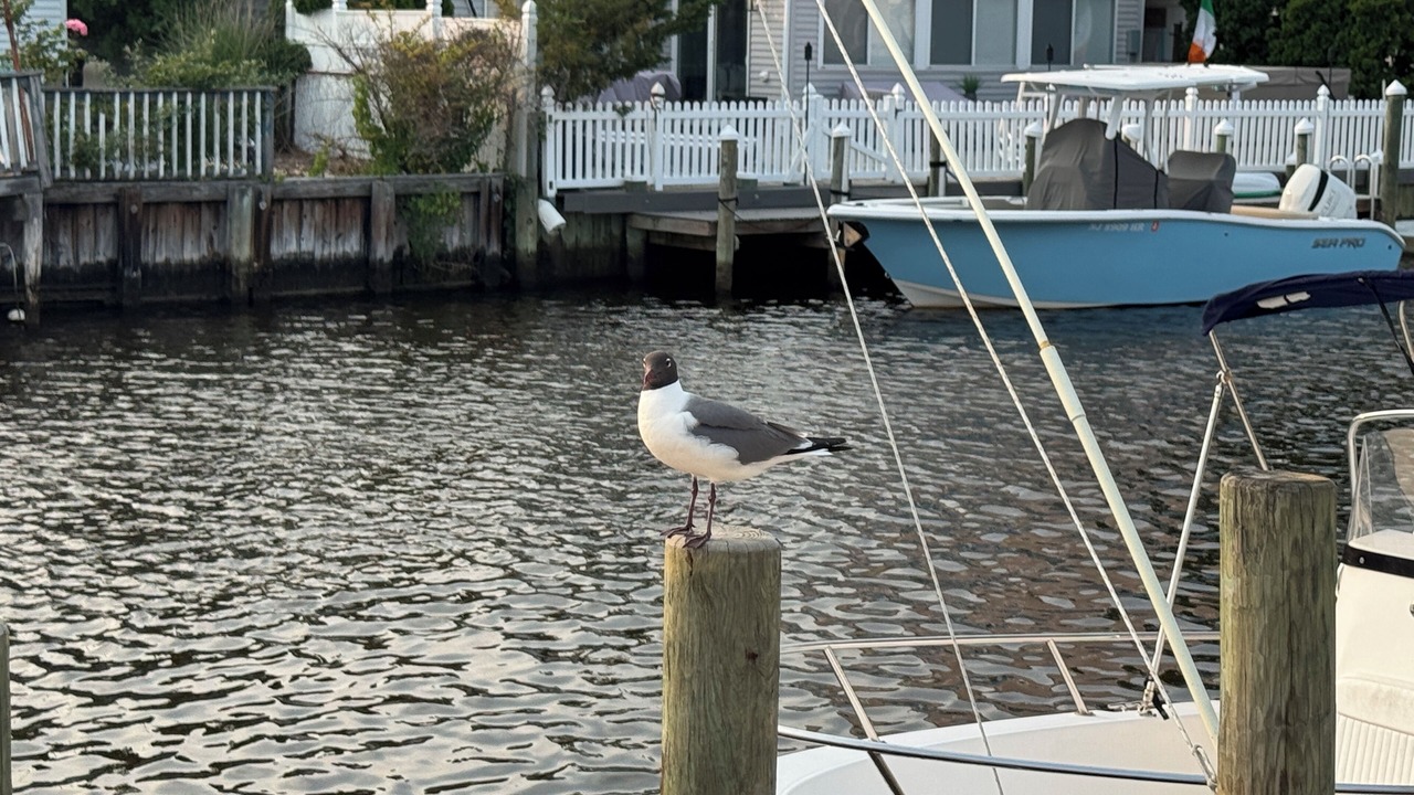Photo of Others in Beach Haven West