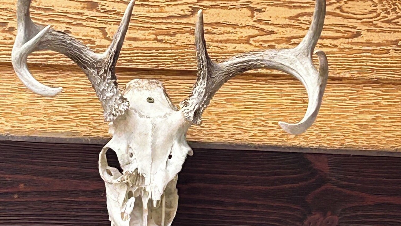 Photo of Others in Deadwood