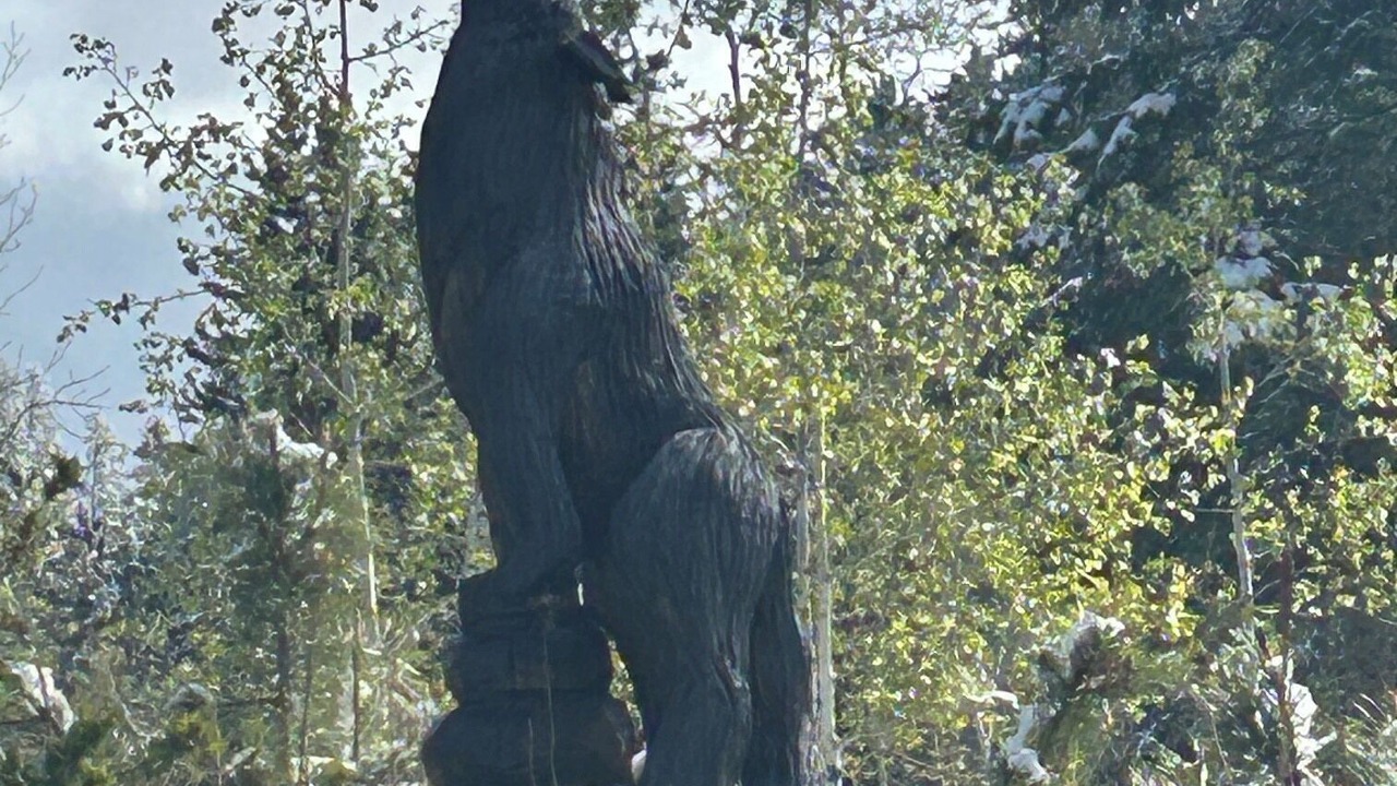 Photo of Others in Deadwood