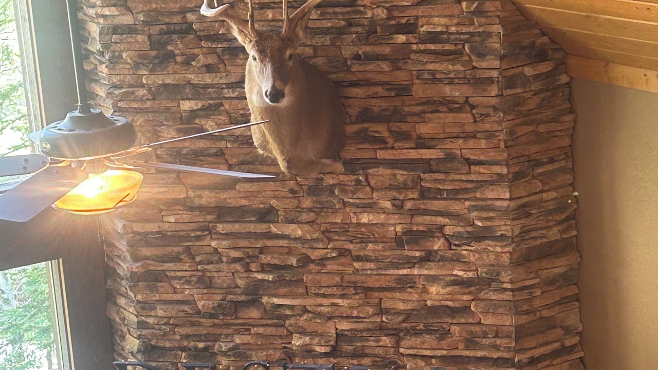 Photo of Others in Deadwood