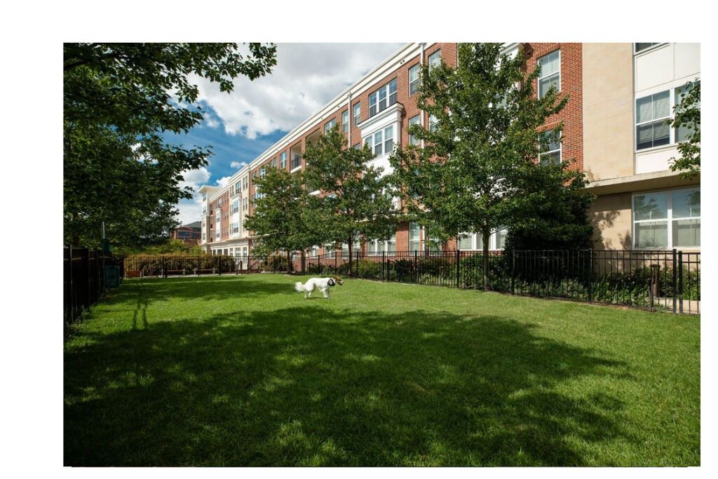 Photo of Outdoor in Downtown Baltimore