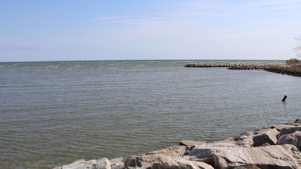 Photo of Others in Cape Anne