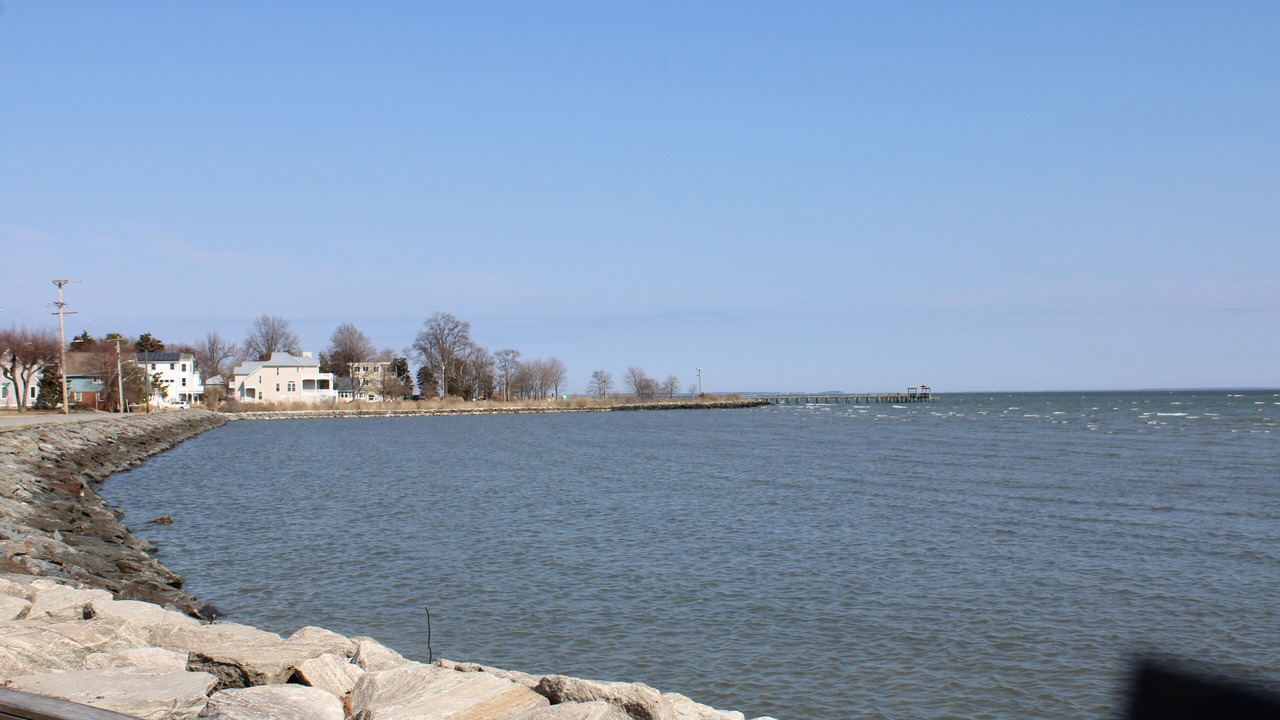 Photo of Others in Cape Anne