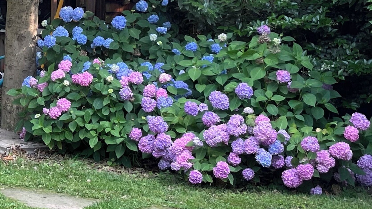 Photo of Outdoor in Severna Park