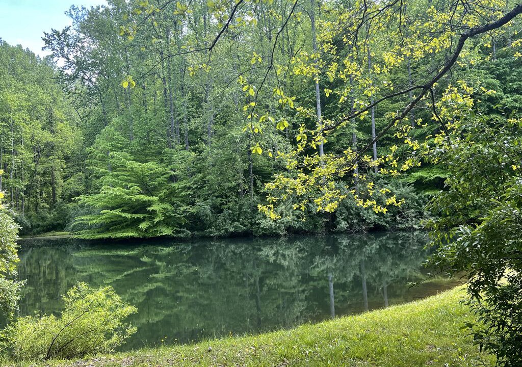 Photo of Others in Marshall