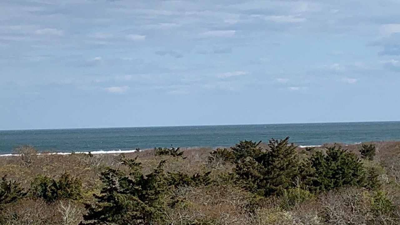 Photo of Others in Diamond Beach