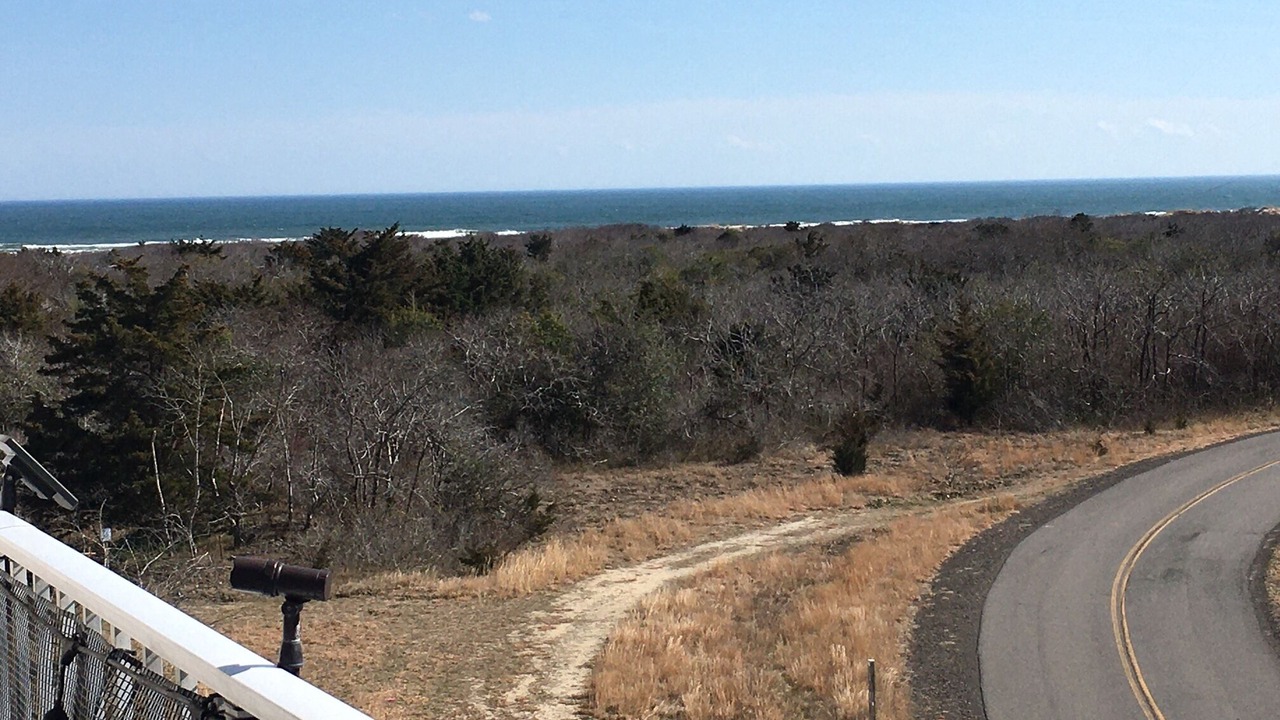 Photo of Outdoor in Diamond Beach