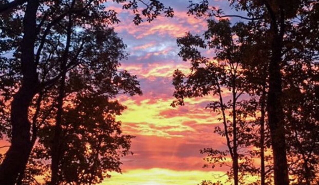 Photo of Outdoor in Menlo