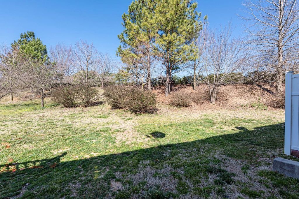 Photo of Outdoor in Northeast Raleigh