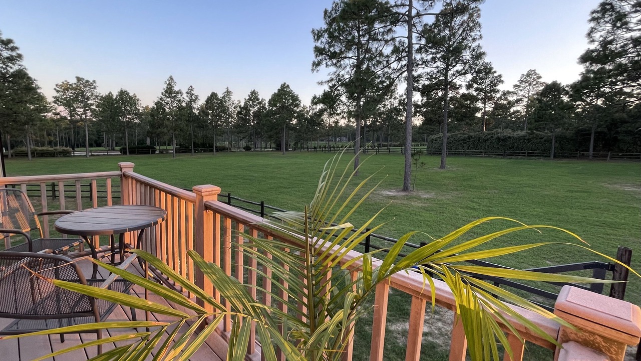 Photo of Outdoor in Vass