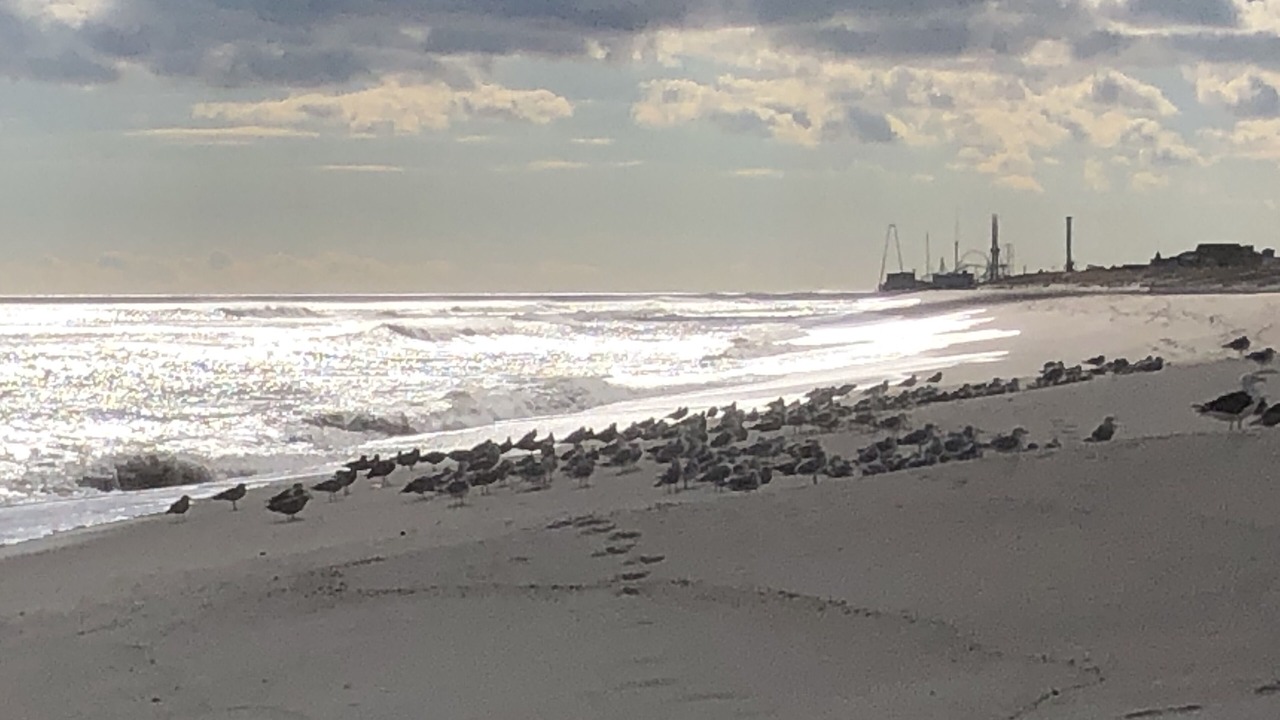 Photo of Others in Ortley Beach