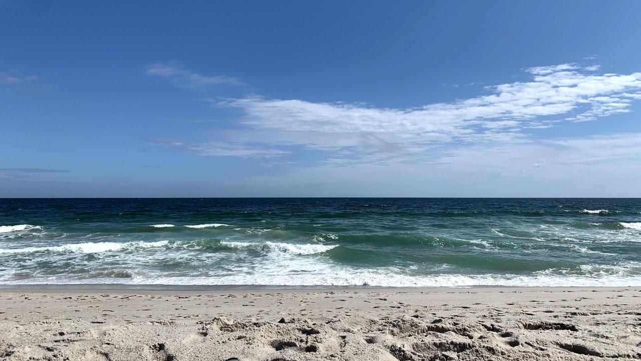 Photo of Others in Ortley Beach