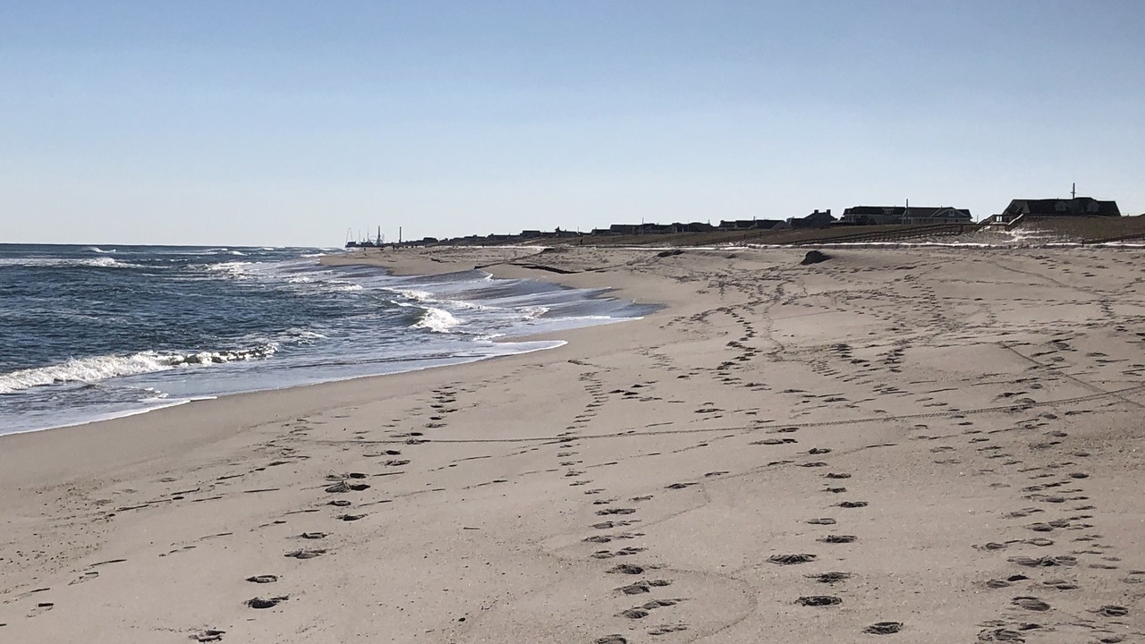 Photo of Others in Ortley Beach
