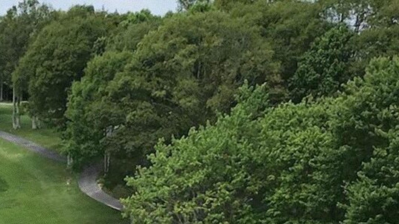 Photo of Others in Charter Hills