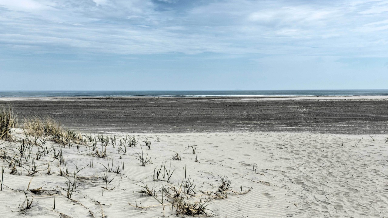 Photo of Others in Wildwood Crest