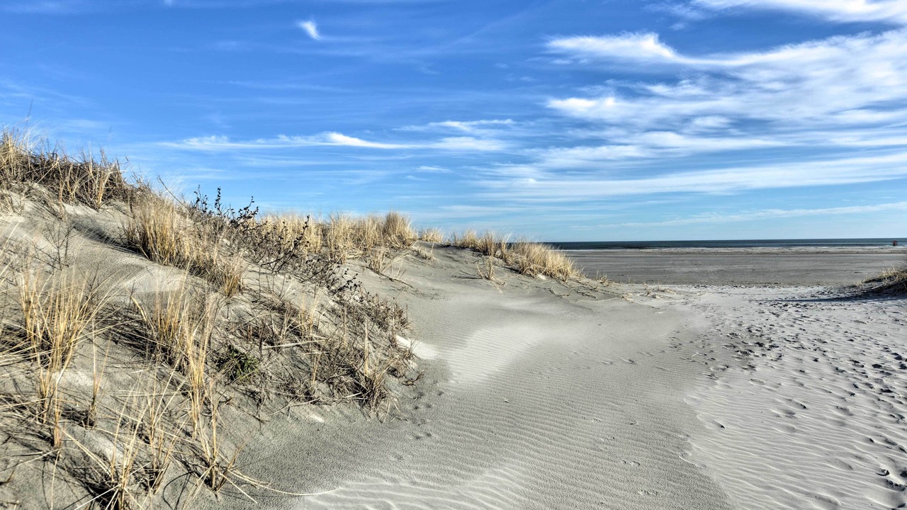 Photo of Others in Wildwood Crest