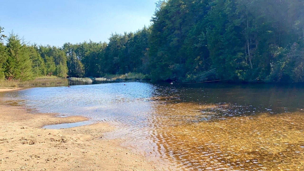 Photo of Others in Lanoka Harbor