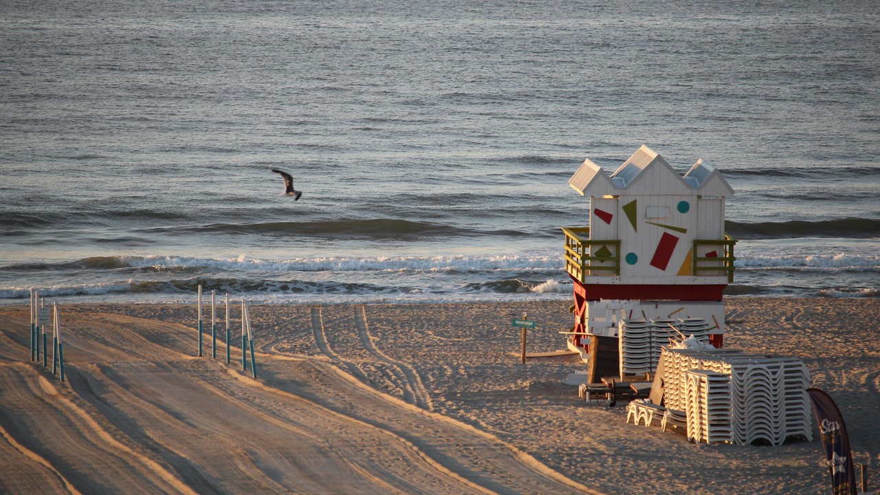 Photo of Others in Diamond Beach