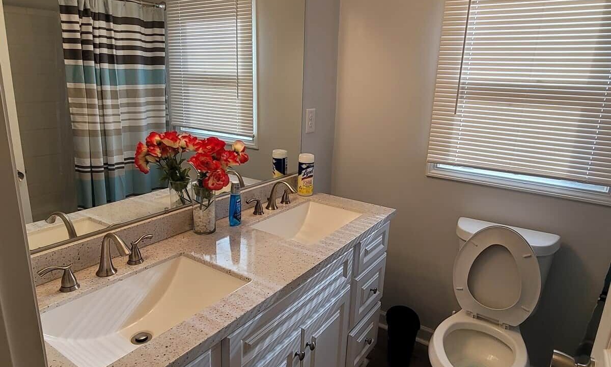 Photo of Bathroom in Apex