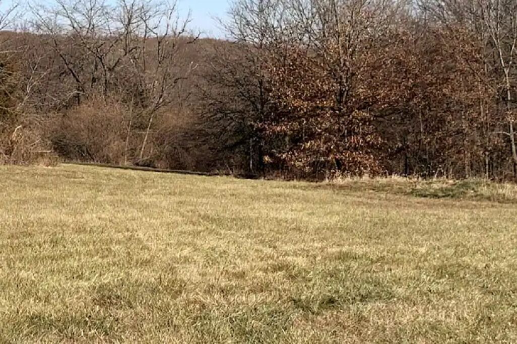 Photo of Others in Monroe City