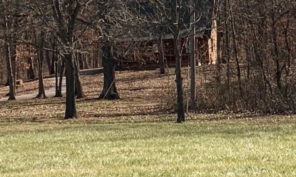 Photo of Others in Monroe City