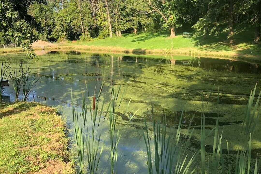 Photo of Outdoor in Lovettsville
