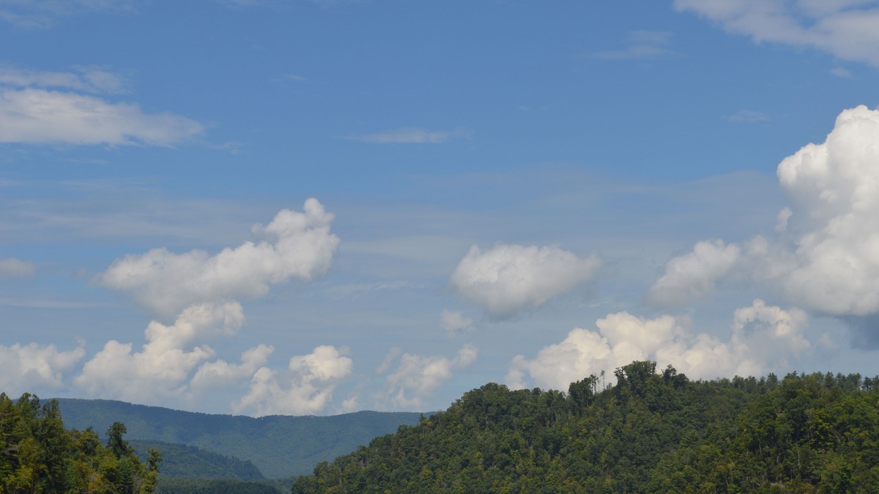Photo of Others in Butler