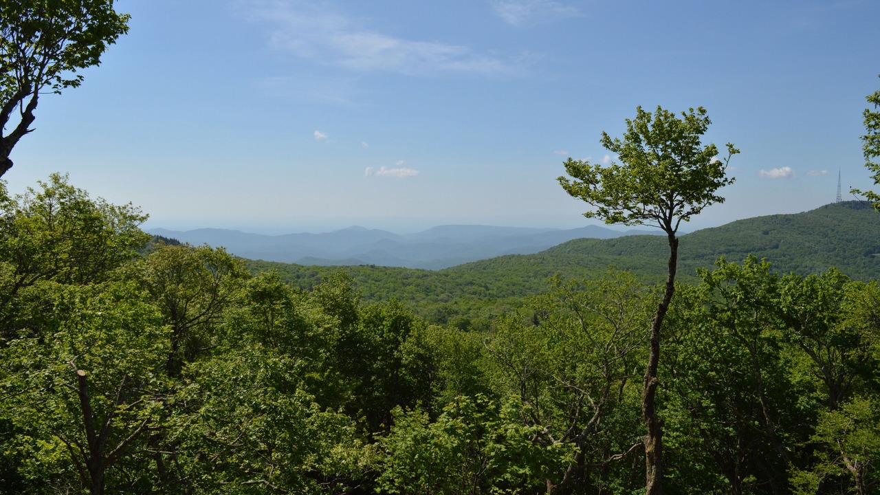 Photo of Outdoor in Butler