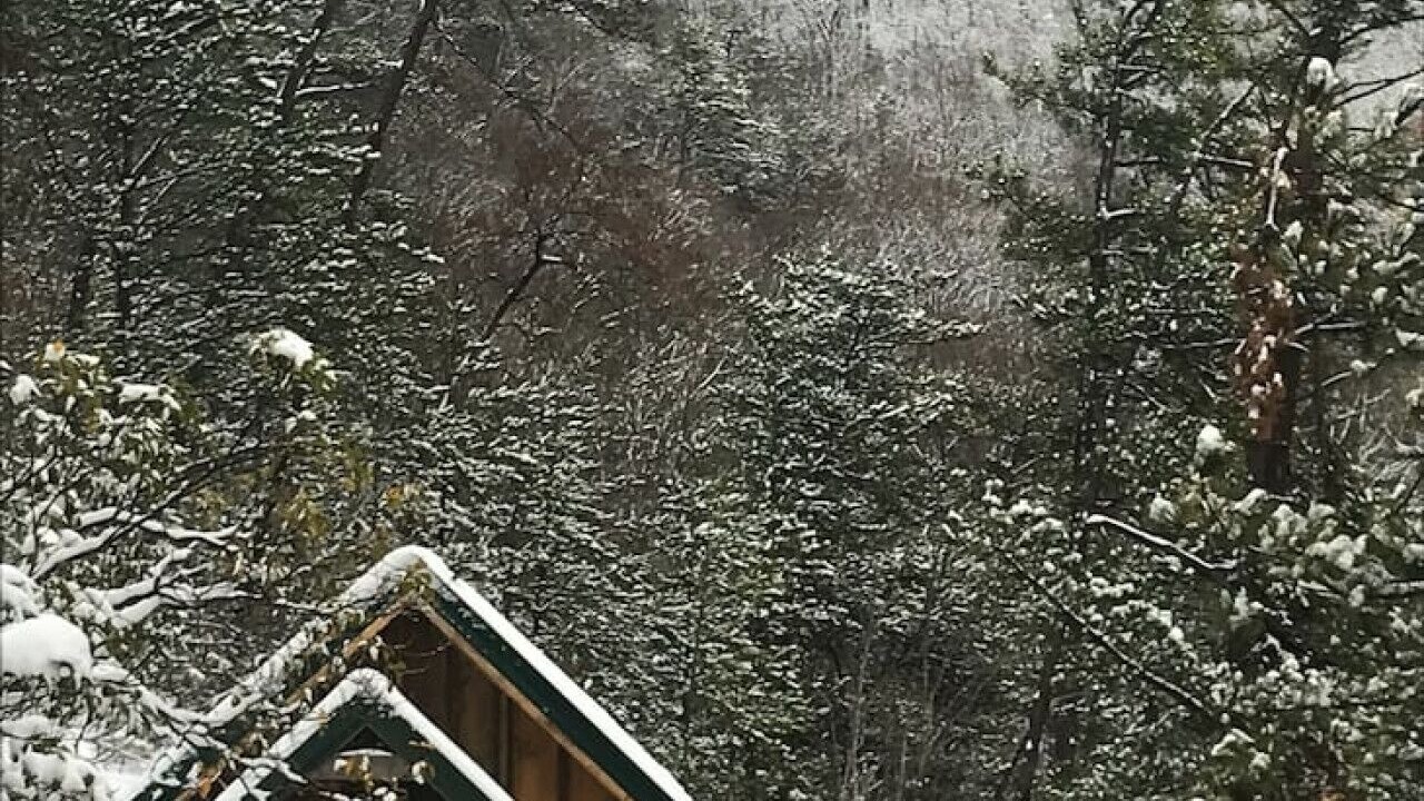 Photo of Outdoor in Newport