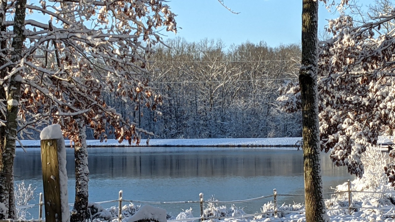 Photo of Others in Dunlap