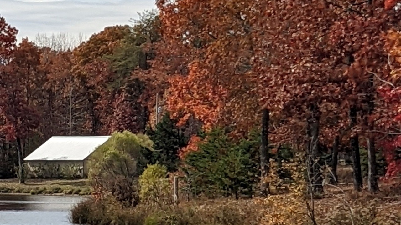 Photo of Outdoor in Dunlap