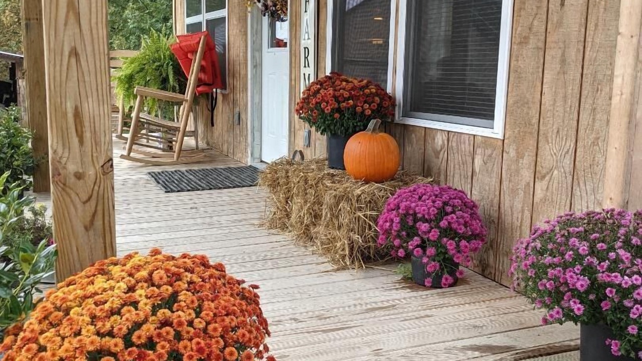 Photo of Outdoor in Dunlap