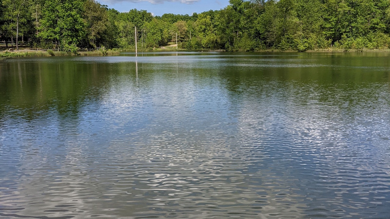 Photo of Outdoor in Dunlap