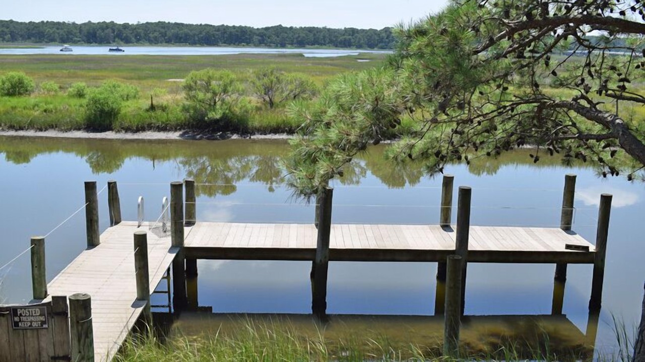 Photo of Others in Piney Island