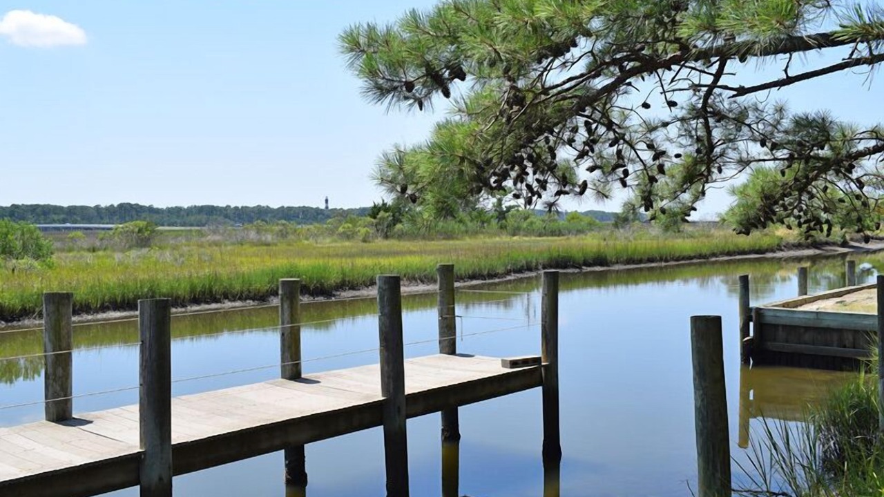 Photo of Others in Piney Island