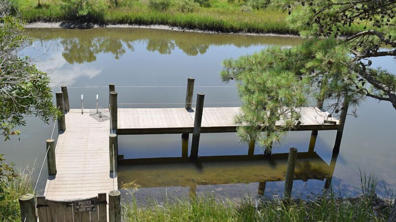 Photo of Outdoor in Piney Island