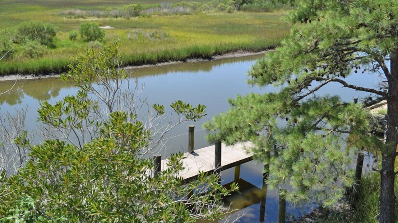 Photo of Others in Piney Island