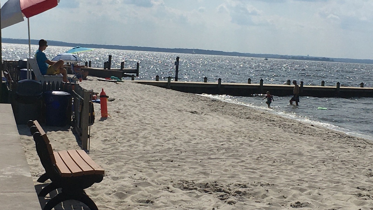 Photo of Others in Ocean Beach III