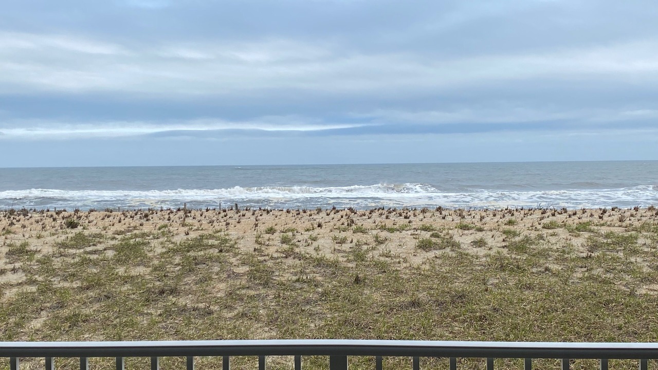 Photo of Outdoor in Beach Haven