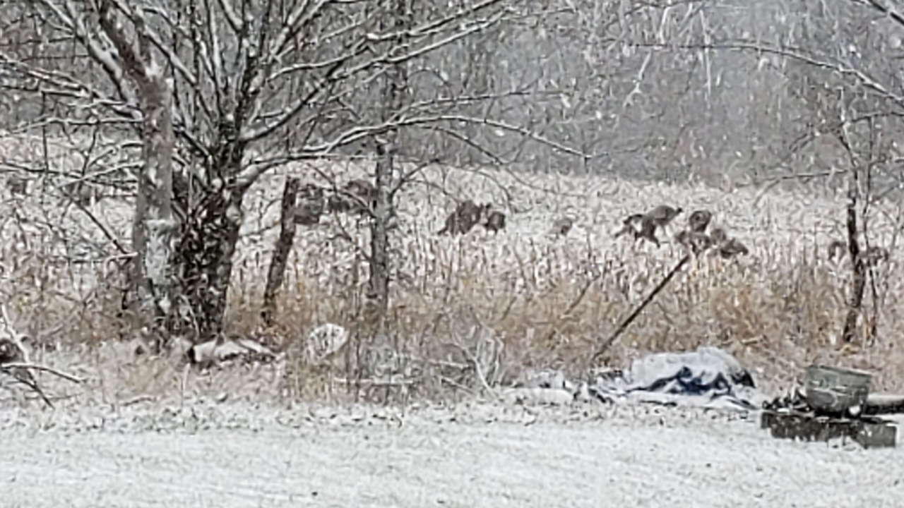 Photo of Outdoor in Moravia