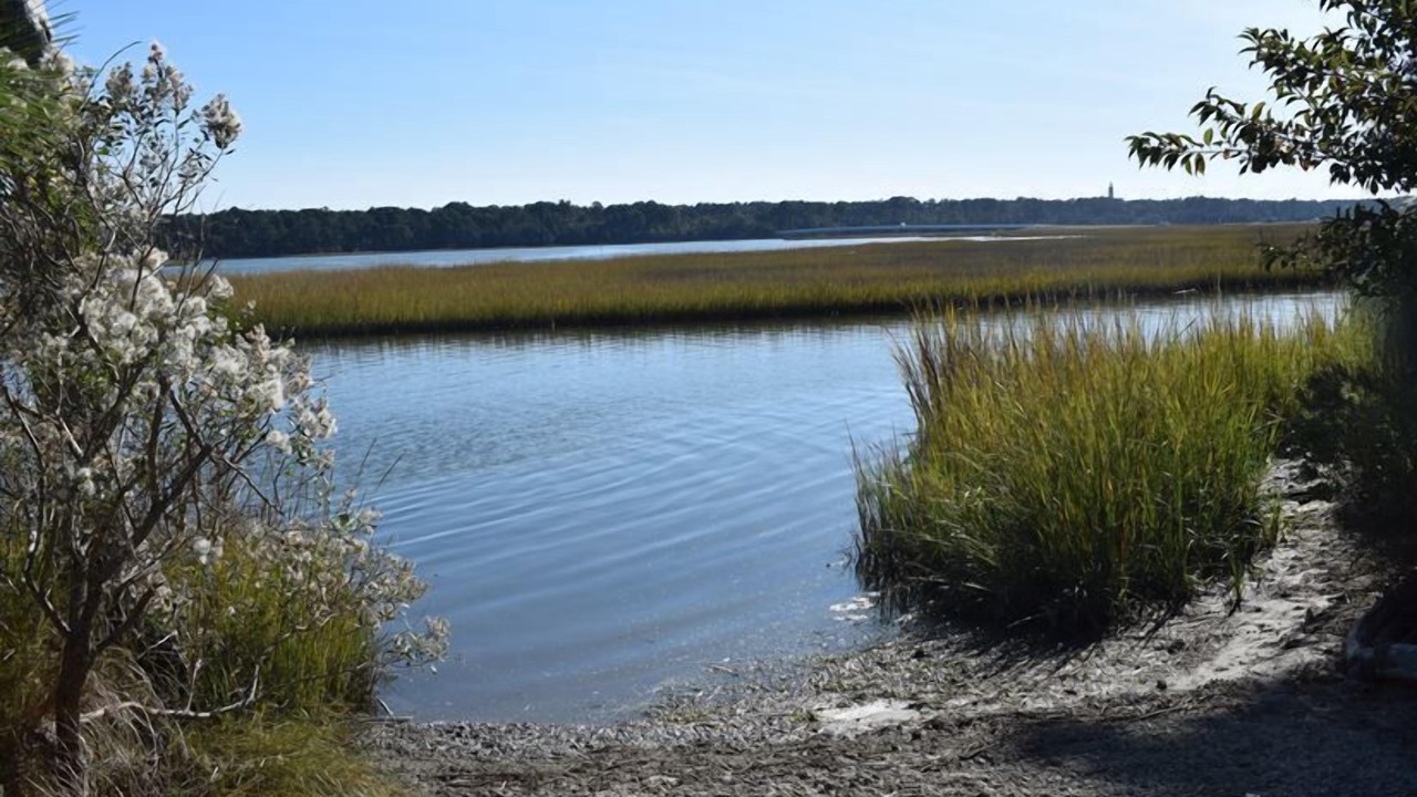 Photo of Others in Piney Island