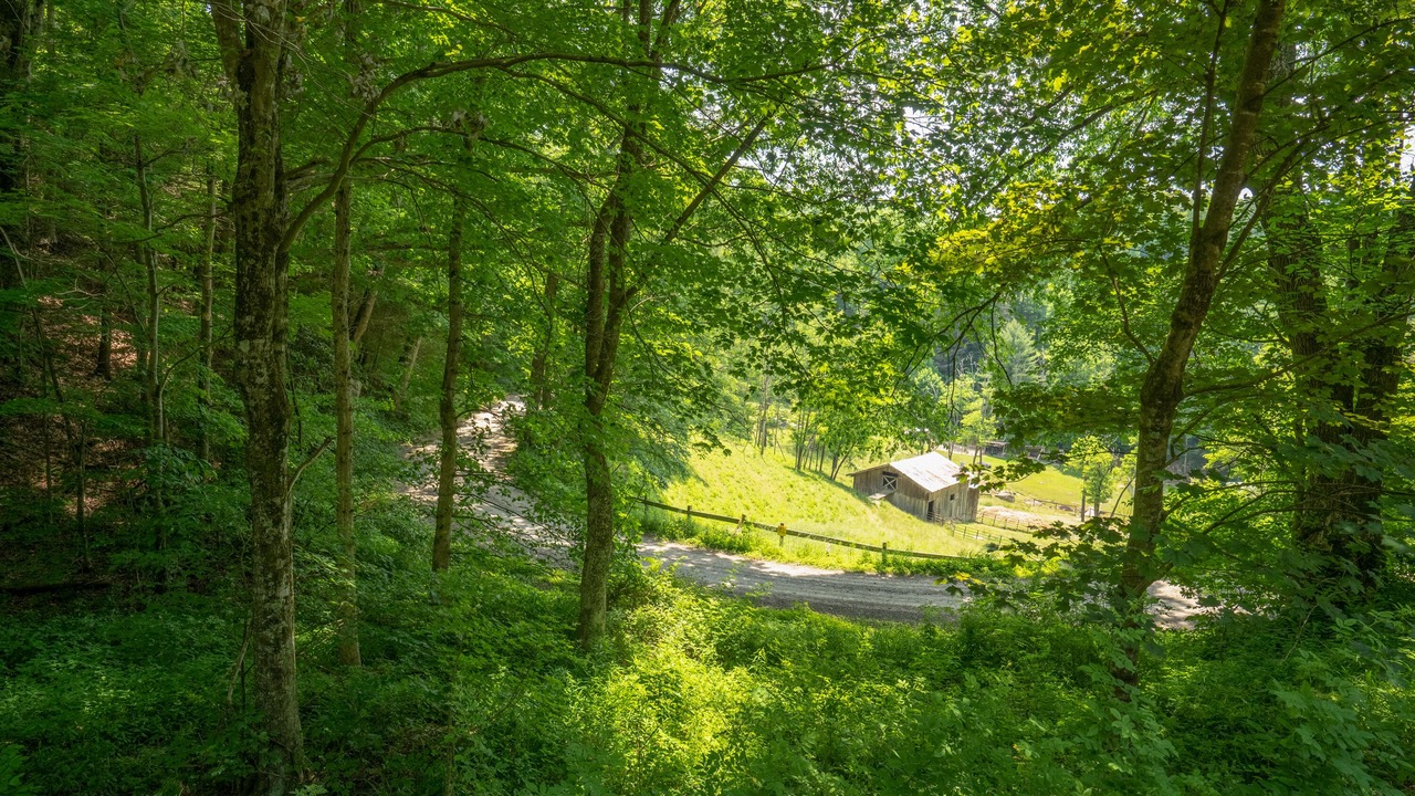 Photo of Outdoor in Sugar Grove