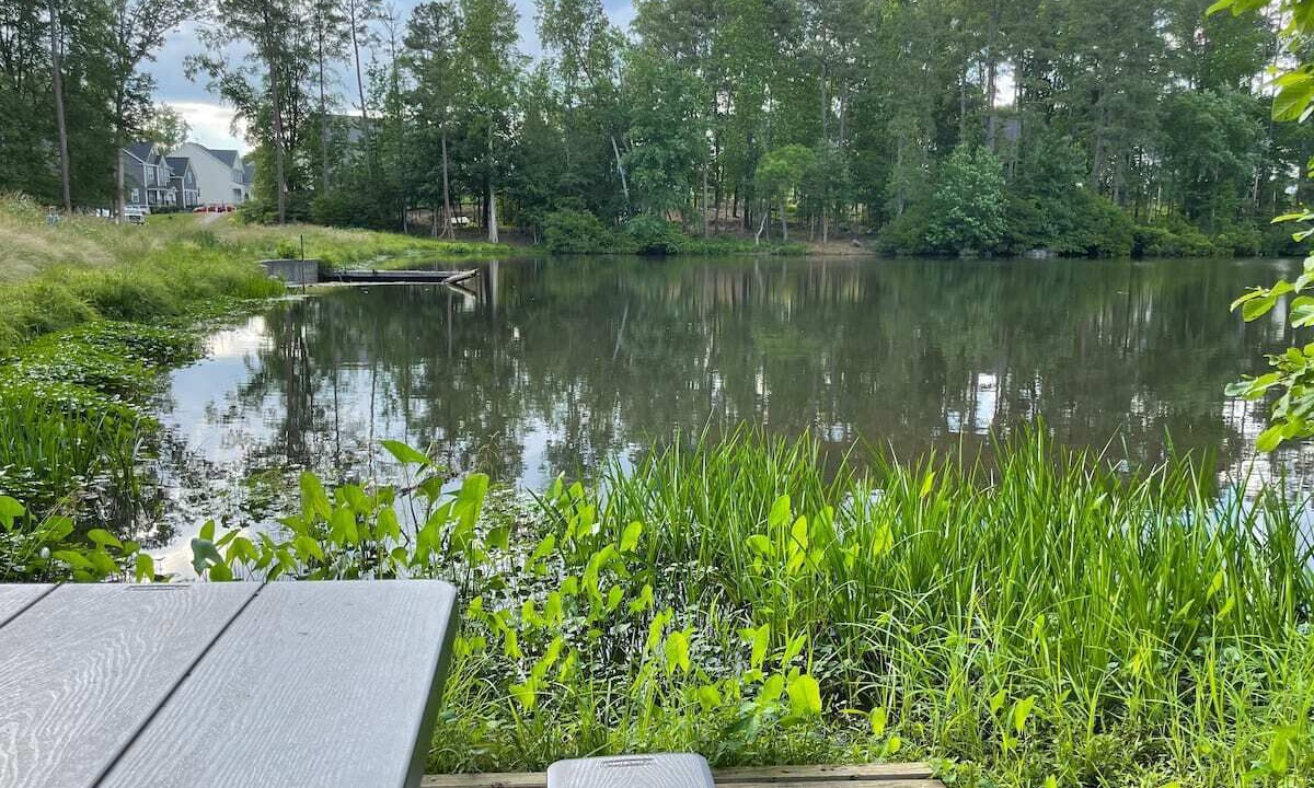 Photo of Outdoor in Quinton