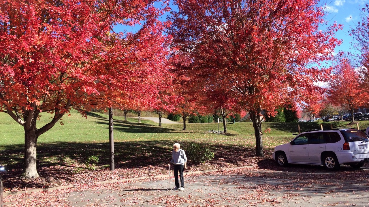 Photo of Outdoor in Vilas