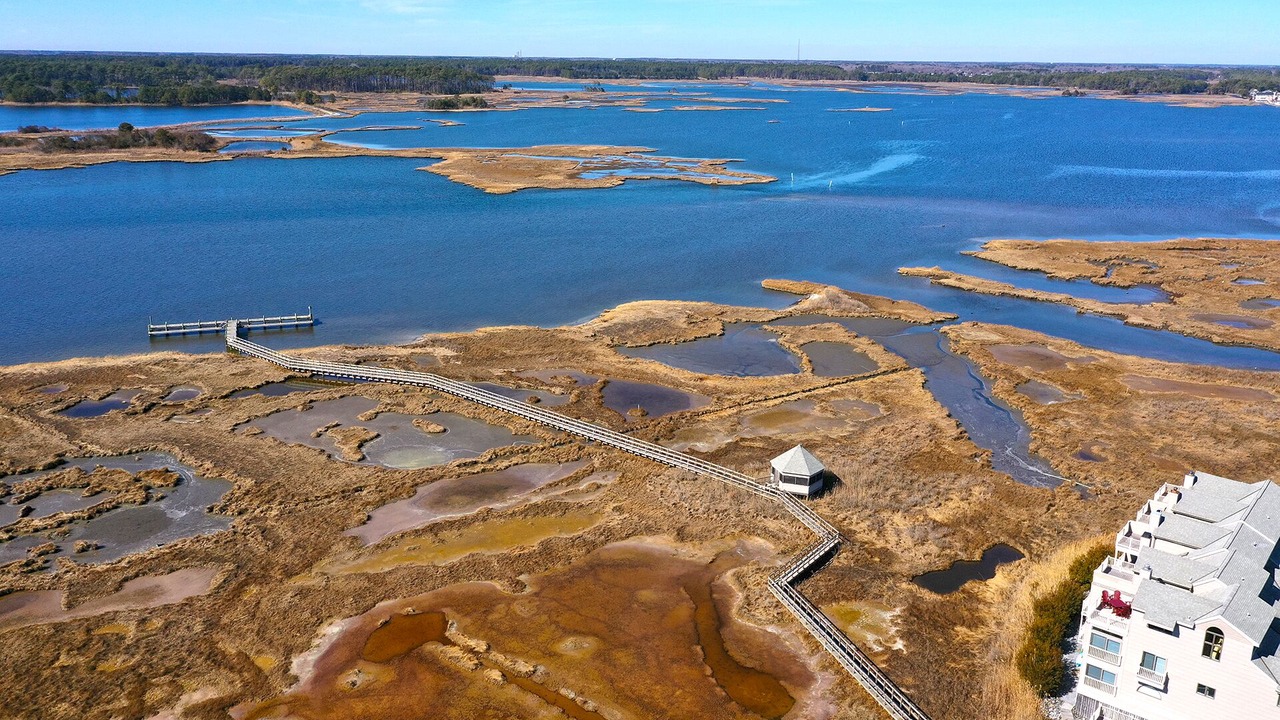 Photo of Outdoor in Fenwick Island