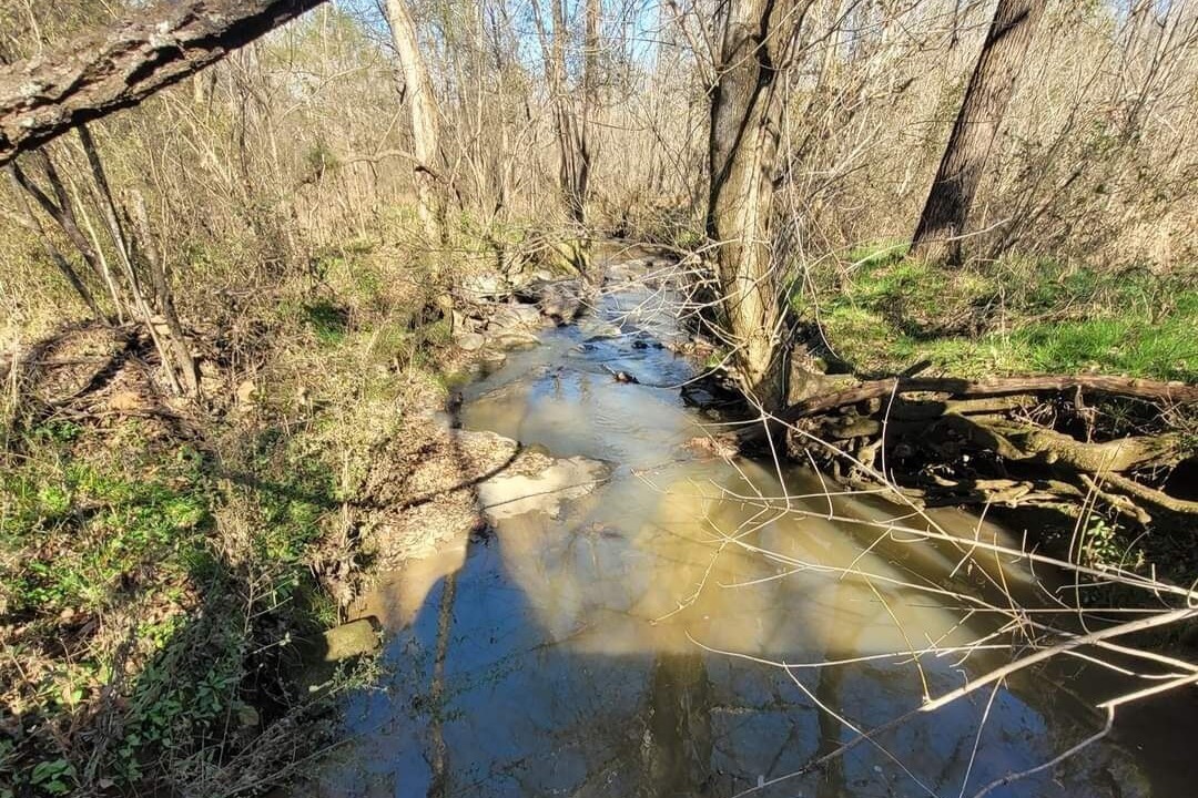 Photo of Outdoor in Chickamauga