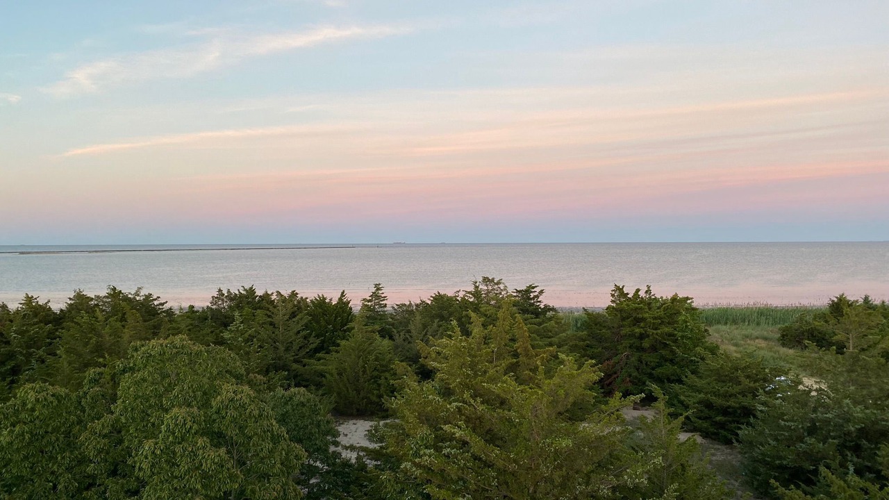 Photo of Others in Milford