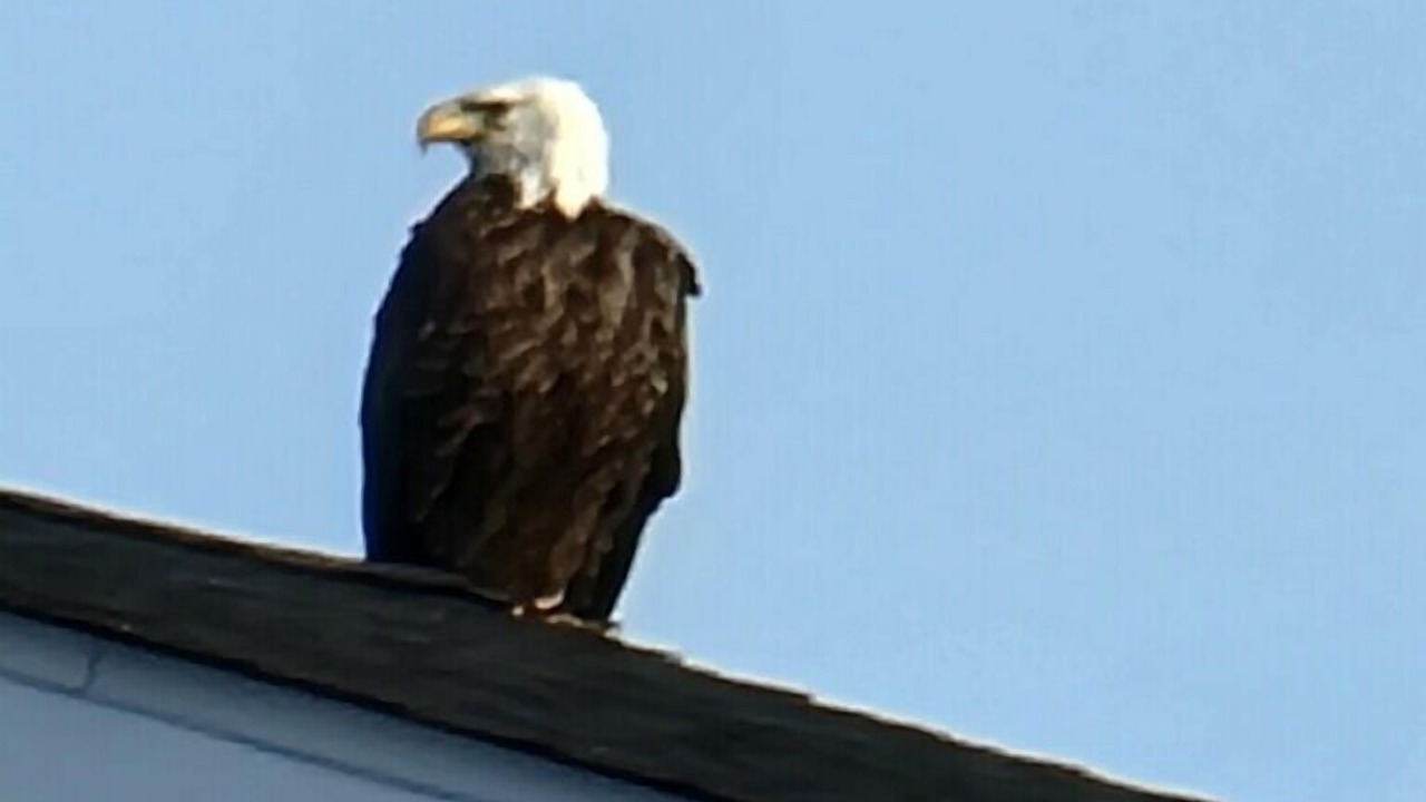 Photo of Outdoor in Milford