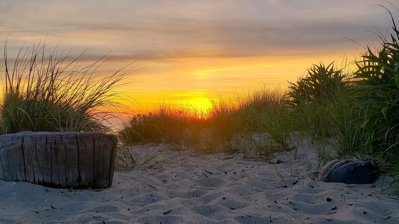 Photo of Outdoor in North Cape May